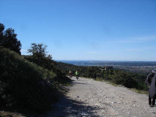 Cliquer pour voir l'image en taille réelle