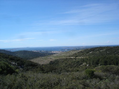 Cliquer pour voir l'image en taille réelle