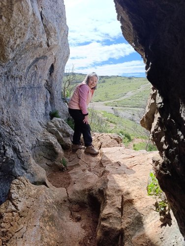 Cliquer pour voir l'image en taille réelle