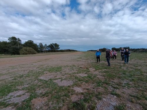 Cliquer pour voir l'image en taille réelle