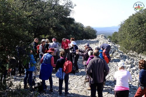 Cliquer pour voir l'image en taille réelle