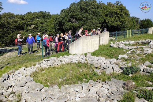 Cliquer pour voir l'image en taille réelle