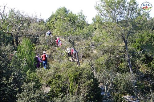 Cliquer pour voir l'image en taille réelle