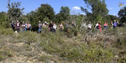 Cliquer pour voir l'image en taille réelle