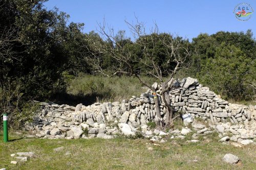 Cliquer pour voir l'image en taille réelle