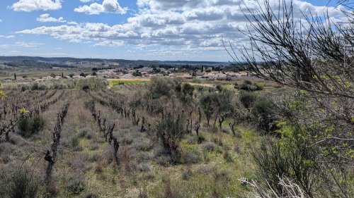 Cliquer pour voir l'image en taille réelle