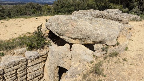 Cliquer pour voir l'image en taille réelle