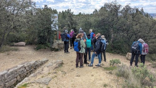 Cliquer pour voir l'image en taille réelle