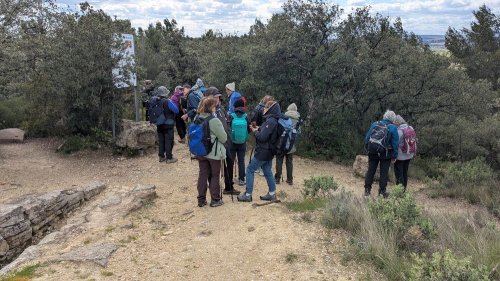 Cliquer pour voir l'image en taille réelle