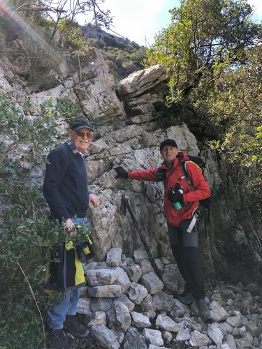 Cliquer pour voir l'image en taille réelle