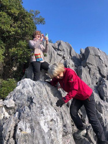 Cliquer pour voir l'image en taille réelle