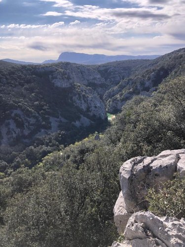 Cliquer pour voir l'image en taille réelle