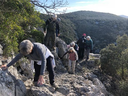 Cliquer pour voir l'image en taille réelle