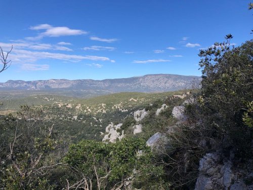 Cliquer pour voir l'image en taille réelle