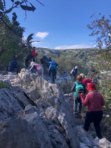 Cliquer pour voir l'image en taille réelle