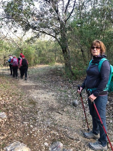 Cliquer pour voir l'image en taille réelle