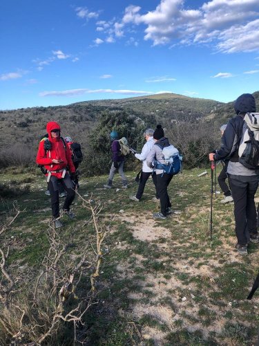 Cliquer pour voir l'image en taille réelle