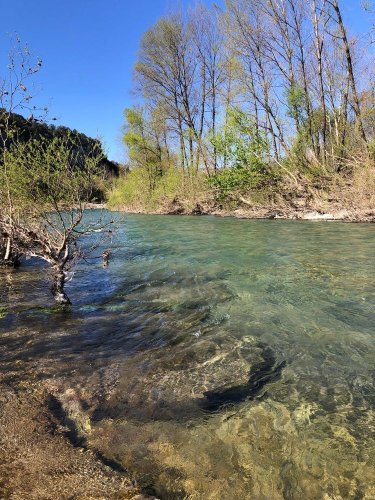 Cliquer pour voir l'image en taille réelle