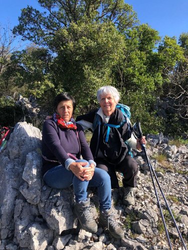 Cliquer pour voir l'image en taille réelle