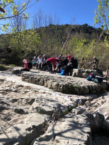 Cliquer pour voir l'image en taille réelle