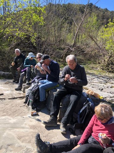 Cliquer pour voir l'image en taille réelle