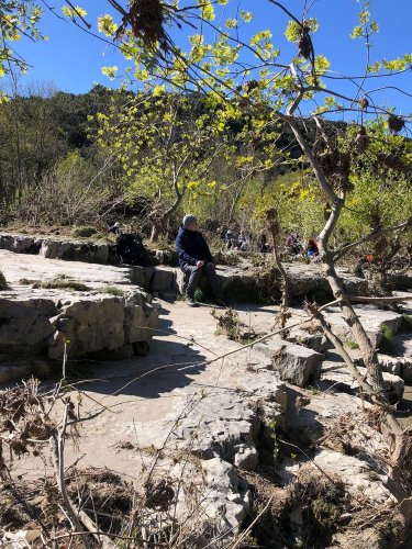 Cliquer pour voir l'image en taille réelle