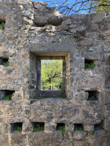 Cliquer pour voir l'image en taille réelle