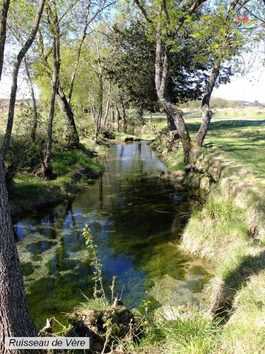 Cliquer pour voir l'image en taille réelle