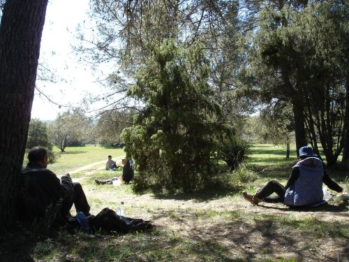 Cliquer pour voir l'image en taille réelle