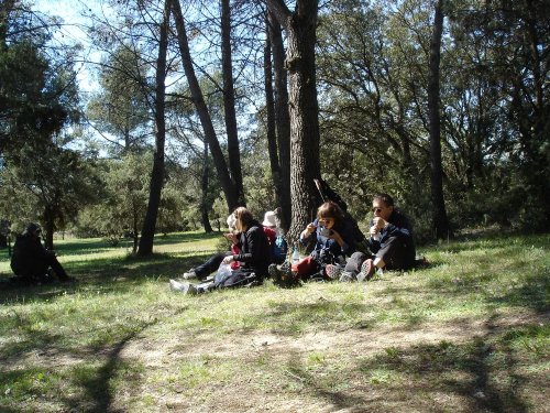 Cliquer pour voir l'image en taille réelle