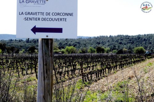 Cliquer pour voir l'image en taille réelle