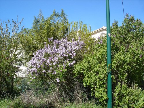 Cliquer pour voir l'image en taille réelle