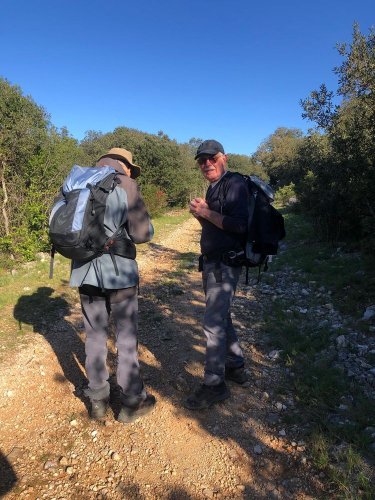 Cliquer pour voir l'image en taille réelle