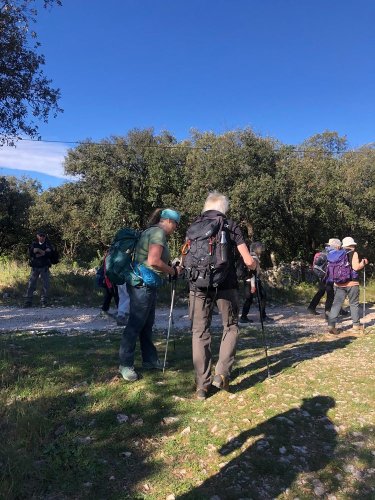 Cliquer pour voir l'image en taille réelle