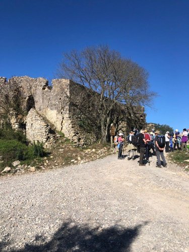 Cliquer pour voir l'image en taille réelle