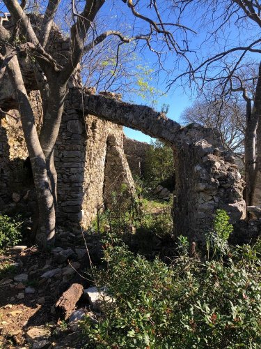 Cliquer pour voir l'image en taille réelle