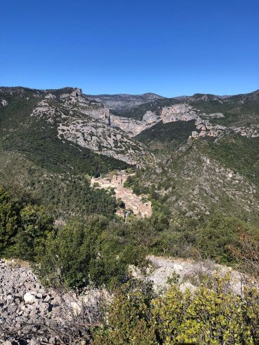 Cliquer pour voir l'image en taille réelle