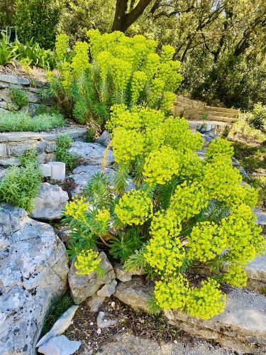 Cliquer pour voir l'image en taille réelle