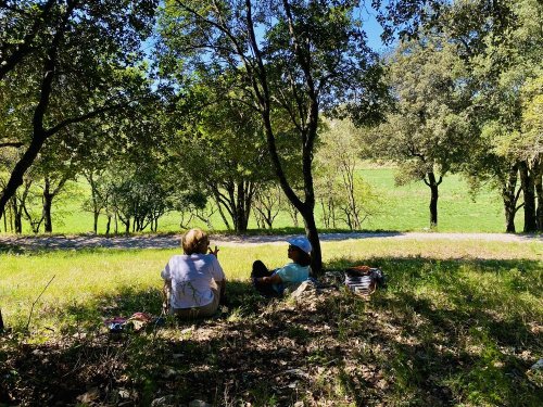 Cliquer pour voir l'image en taille réelle