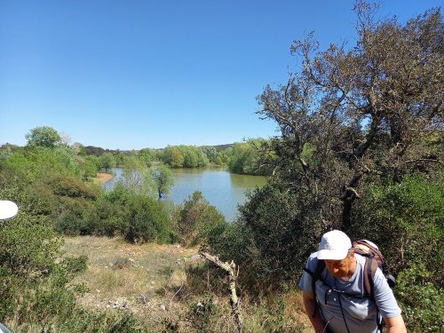 Cliquer pour voir l'image en taille réelle