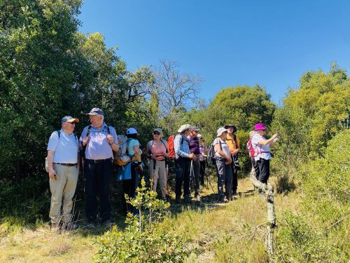 Cliquer pour voir l'image en taille réelle