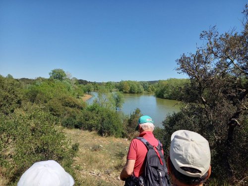 Cliquer pour voir l'image en taille réelle