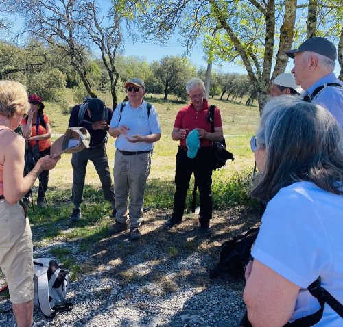 Cliquer pour voir l'image en taille réelle