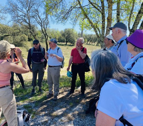 Cliquer pour voir l'image en taille réelle