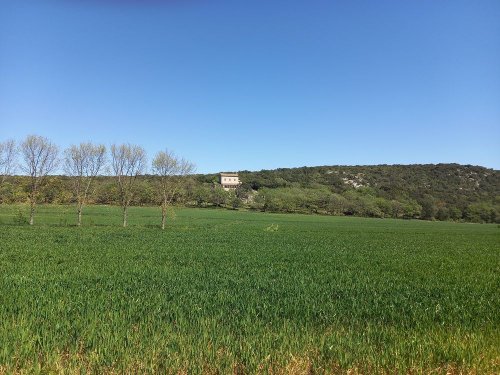 Cliquer pour voir l'image en taille réelle