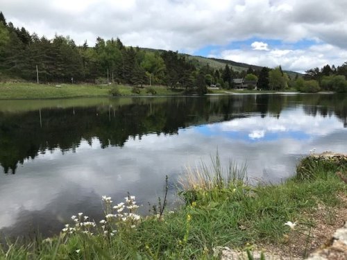Cliquer pour voir l'image en taille réelle