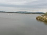 Palavas004.jpg