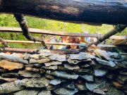 Gornies023.jpg