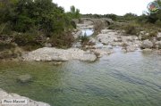 Monnier008.jpg