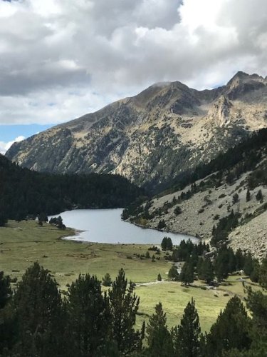Cliquer pour voir l'image en taille réelle